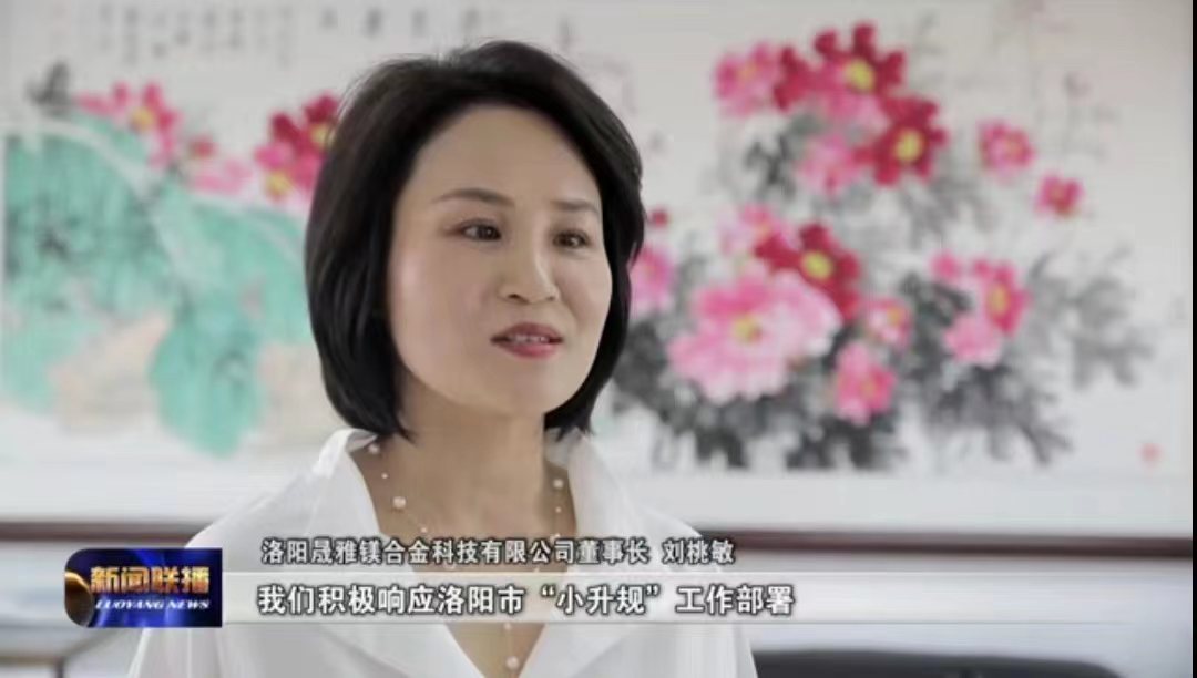 劉董事長接受洛陽電視臺采訪